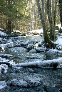 ohtja järvest lähtuv oja